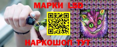 шишки Бузулук