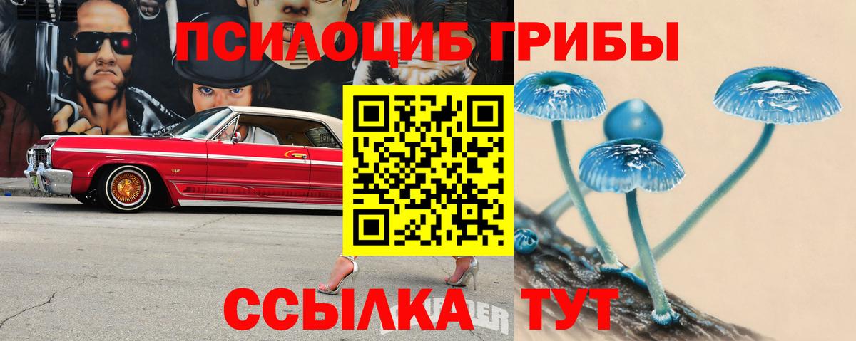 Галлюциногенные грибы Magic Shrooms  Псилоцибиновые грибы Cubensis  Вход с VPN  Советский 